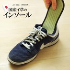 インソール い草インソール 24cm