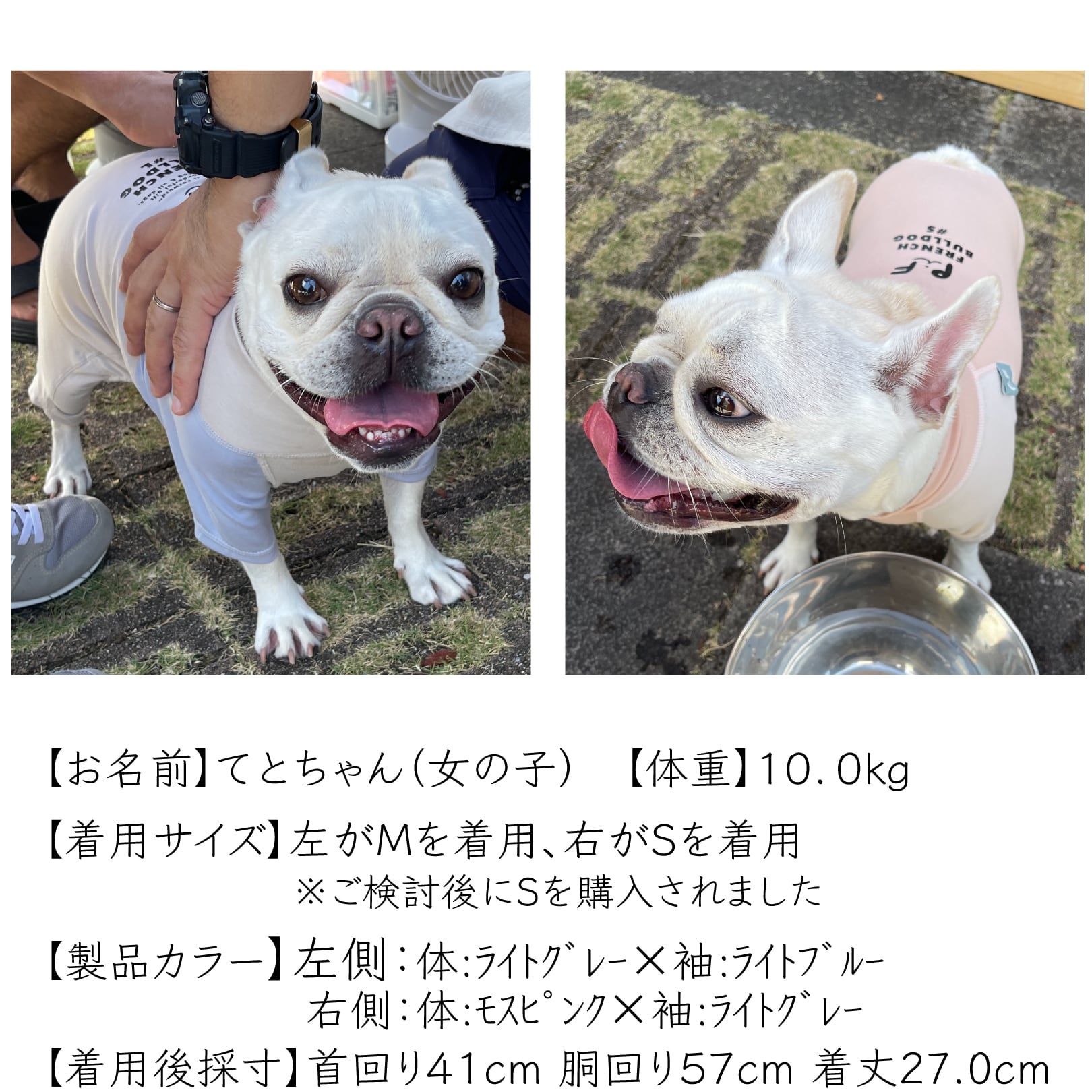 フレンチブル様確認用 51ffUkUgnbL.