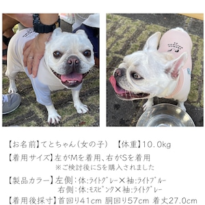 スキンフィット｜フレンチブルドッグ用｜オーガニックコットン＆抗菌消臭効果生地