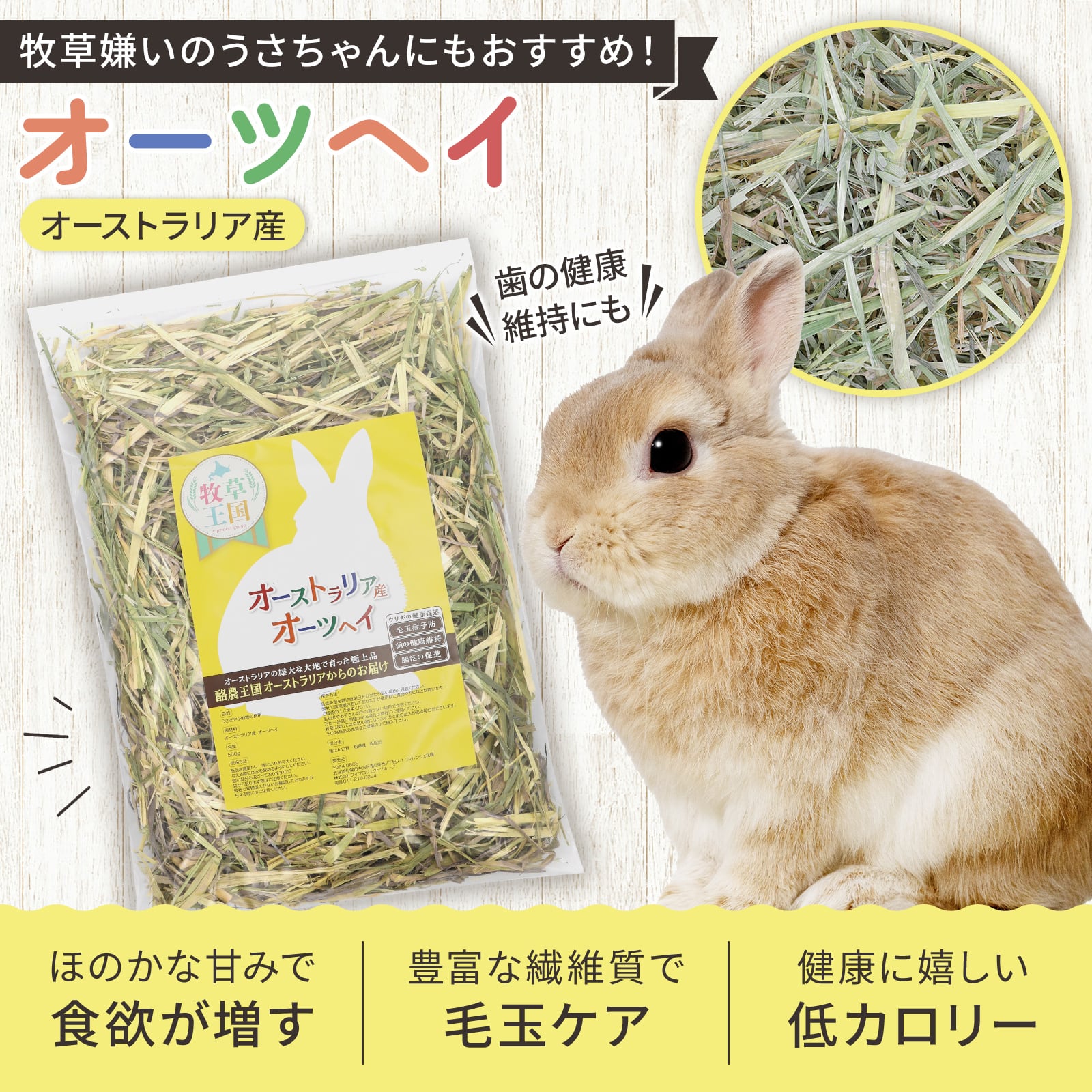 オーツヘイ お試しパック50g | うさぎの牧草チモシーもふぱふぇofficial