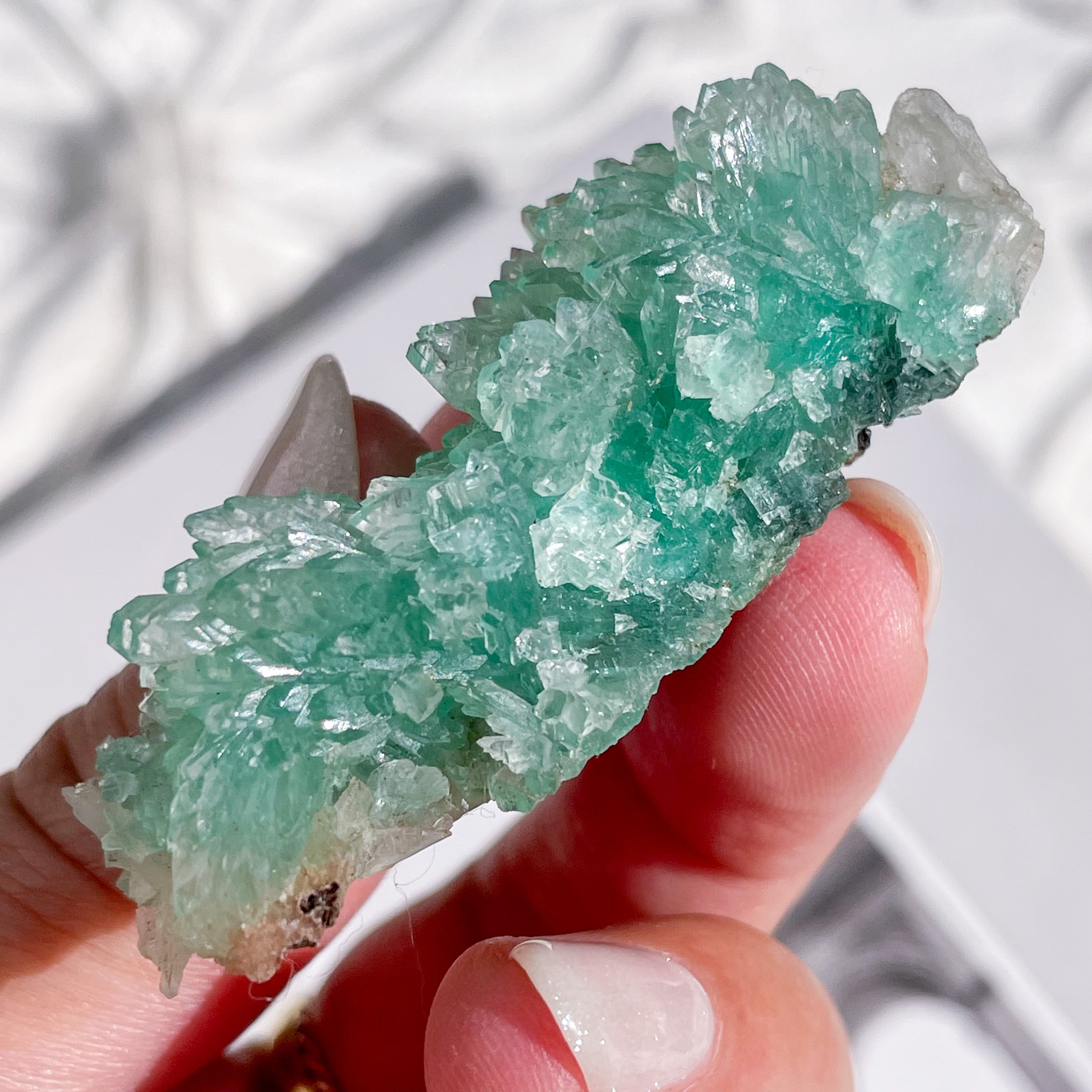 Flower Green Apophyllite 20 ✧ フラワーグリーン