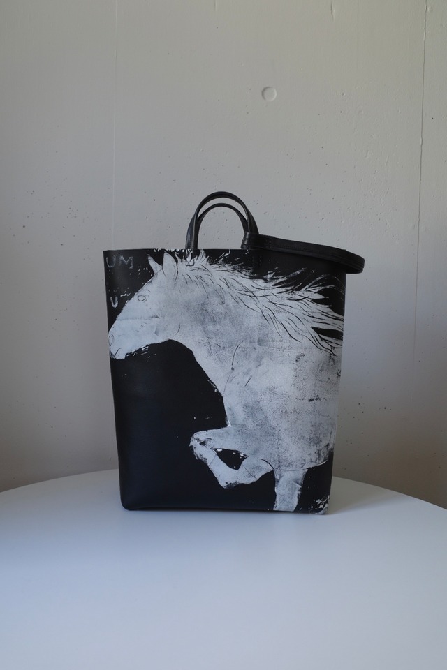 SUN-hoofbeat stardust-