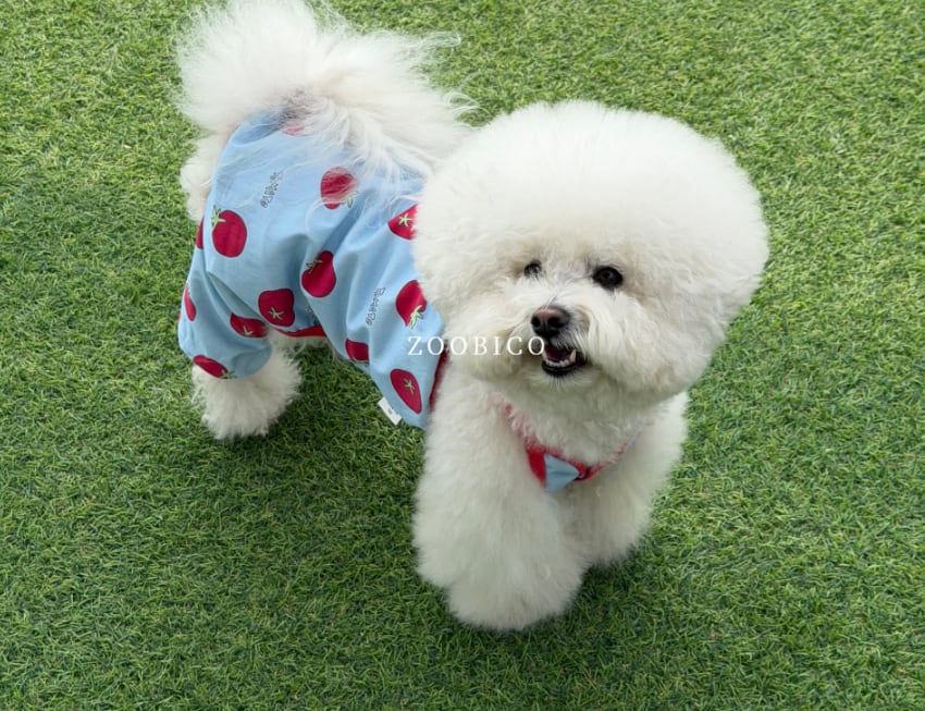 tomato all in one S ~ XL 2color / 犬服 新作 夏 袖なし 可愛い犬の服 ドッグウェア オールインワン  ペット ワンコ服 小型犬 中型犬 猫 ロンパース tsu45