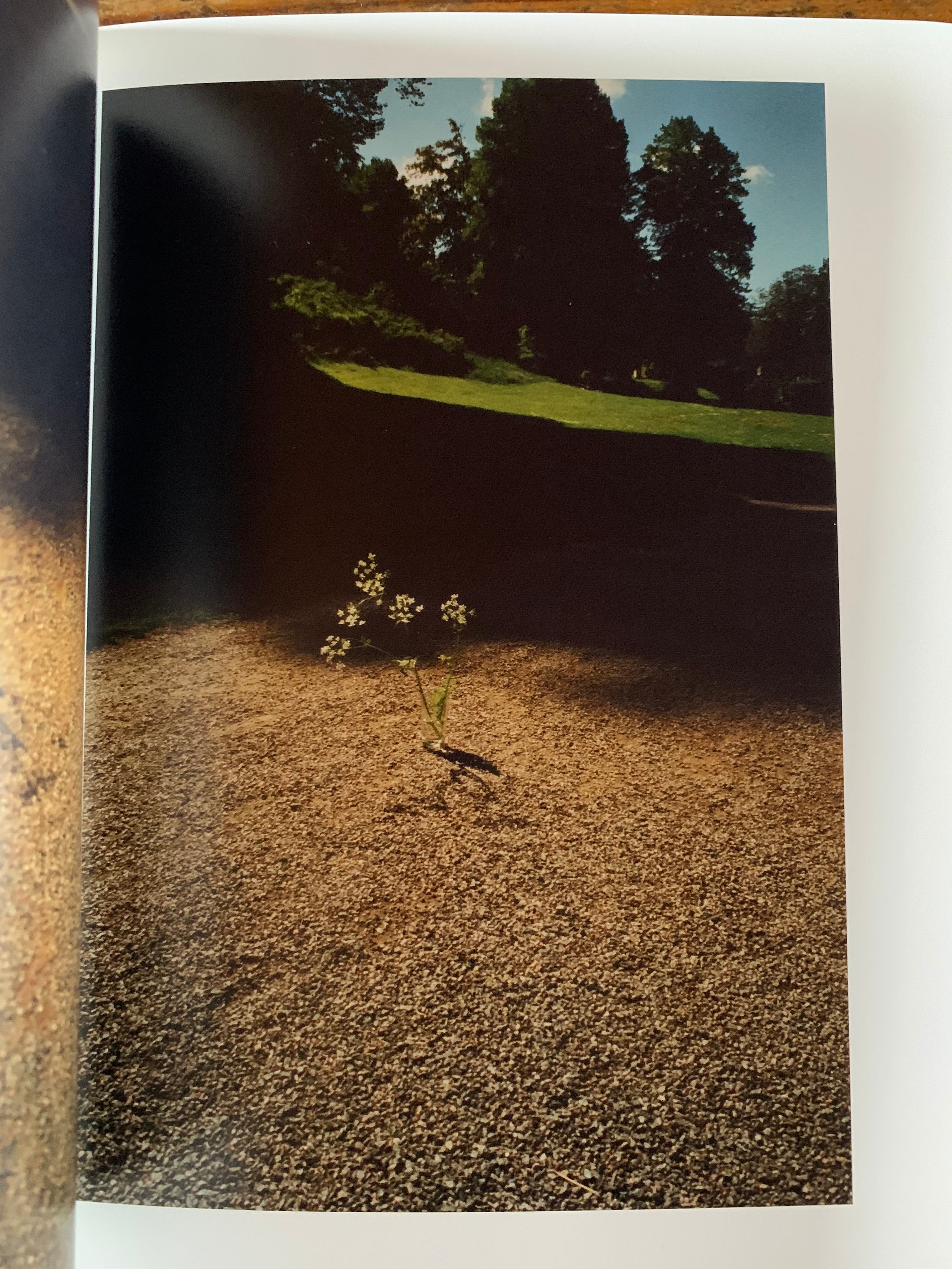 永瀬沙世『White Flowers』 | STANDARD BOOKSTORE