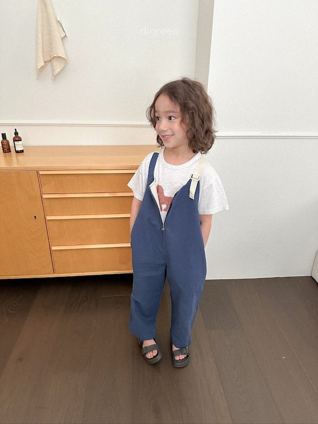 〘予約〙digreen / nova overalls