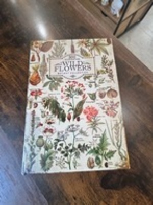 アンティークルックエンプティブックボックス