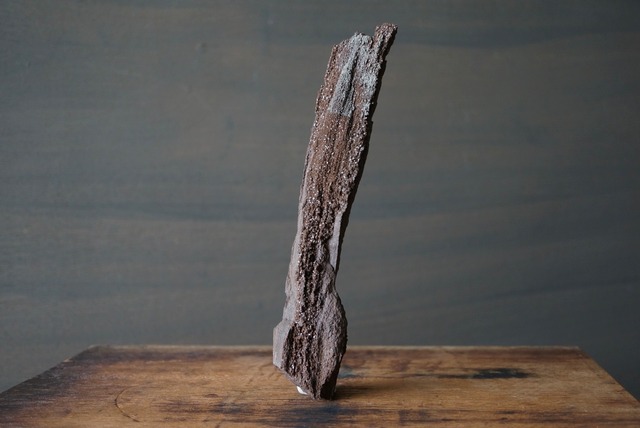 特大ドイツ産ドゥルージーペトリファイドウッド 242mm　Petrified Wood / Quartz　1173