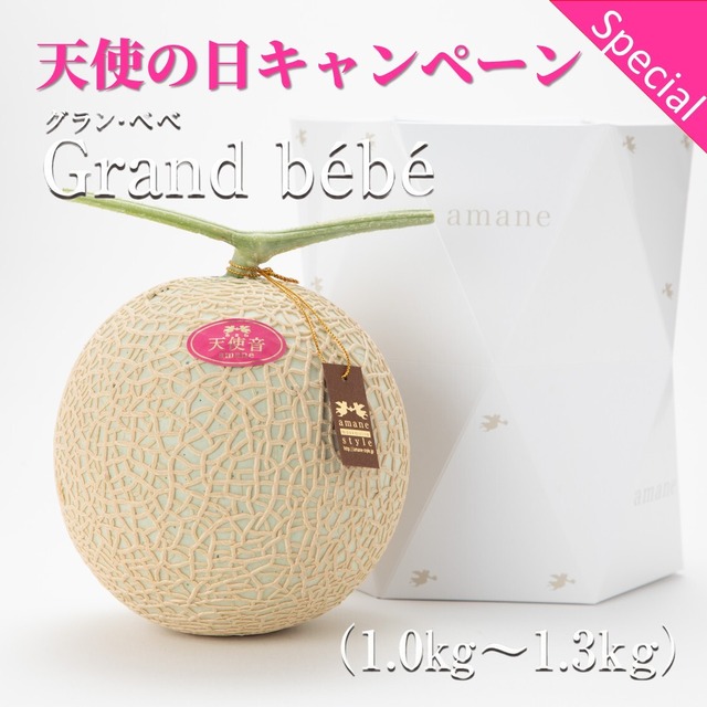 【天使の日キャンペーン】天使音マスクメロン【Grand bébé】1.0㎏～1.3㎏　1玉