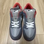 ×STAPLE SB DUNK LOW NYC PIGEON 304292-011