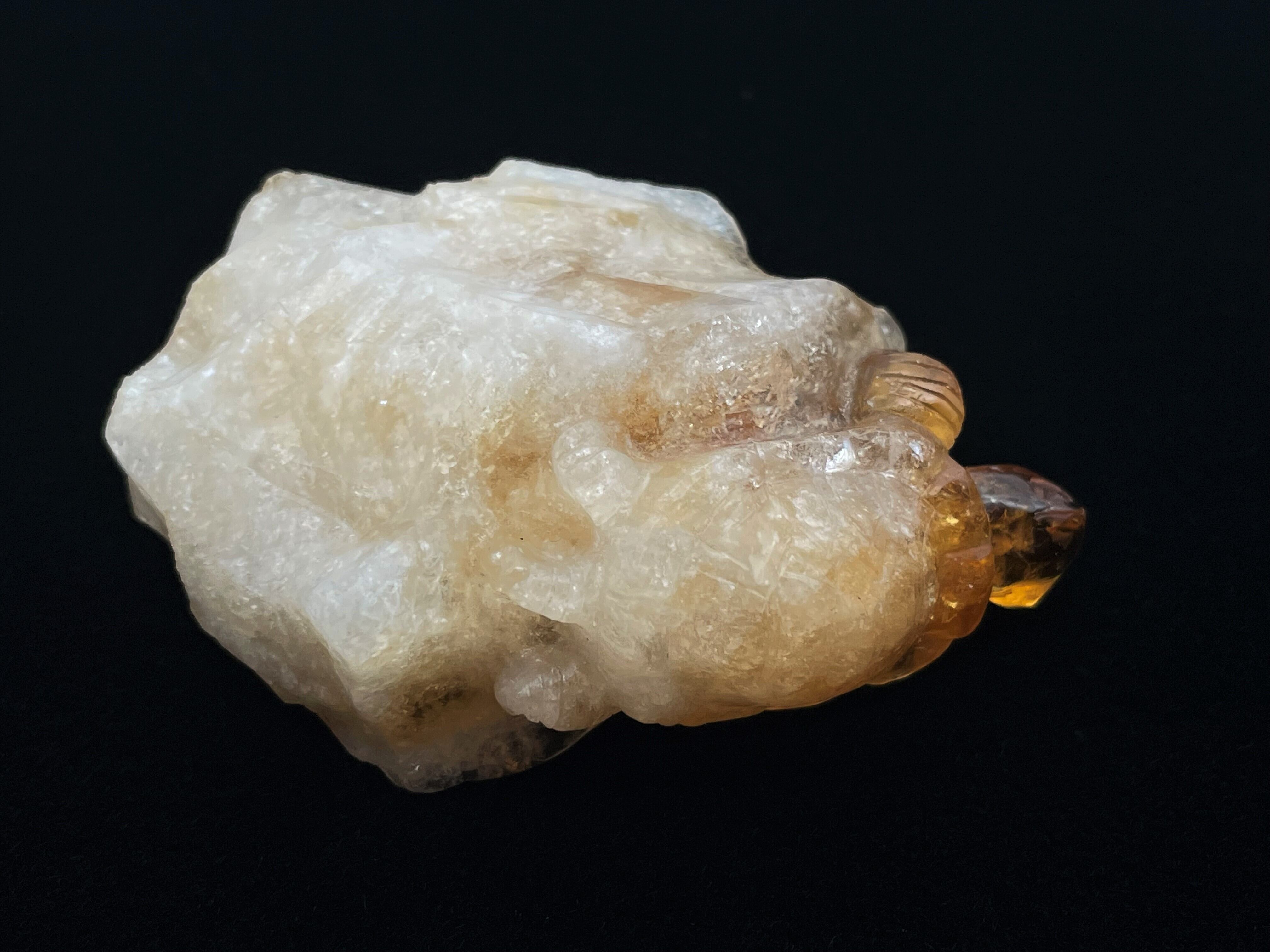 亀型（シトリン） 亀型（シトリン） | DantaliaN