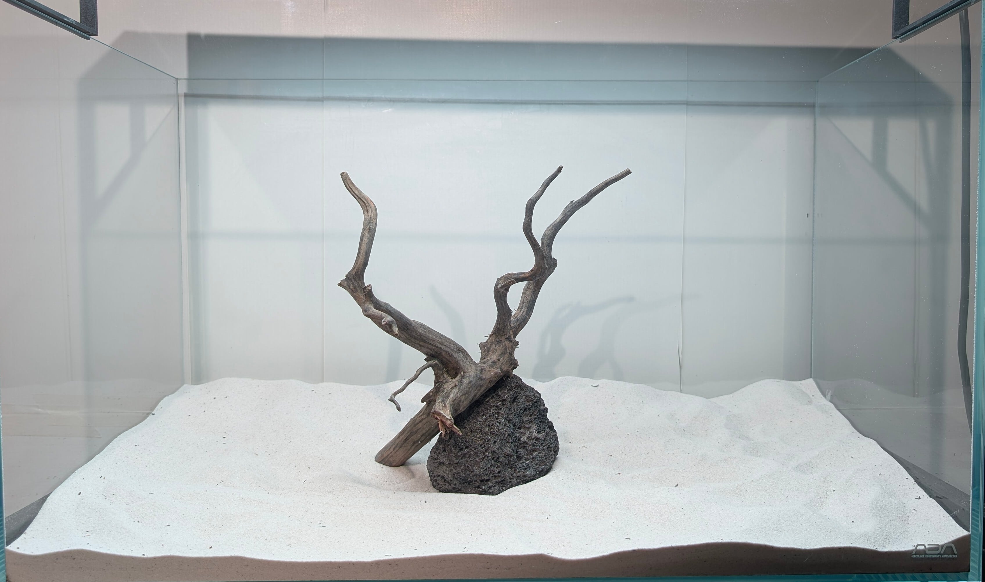 レイアウトセット【LBB009】 ブラックスマトラブランチウッド