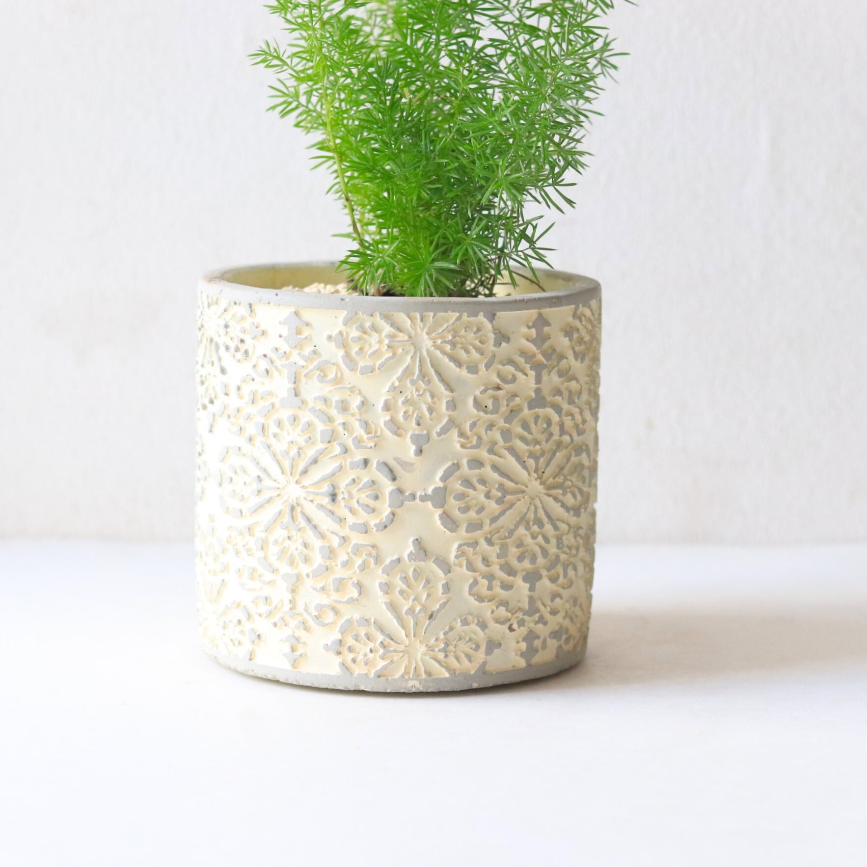 グリーン】アスパラガスメイリー | ジーフラットインテリアショップ