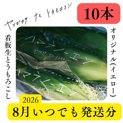 【8月いつでも発送】看板生とうもろこし10本