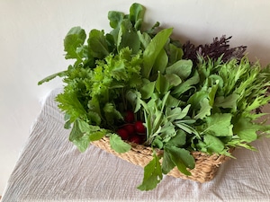 自然栽培野菜ボックス