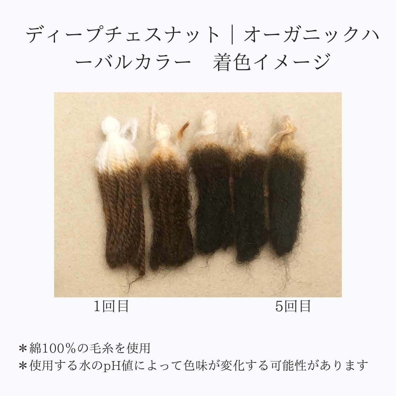 ディープチェスナット｜エコヴェーダ｜2019 オーガニックハーバルヘアカラー