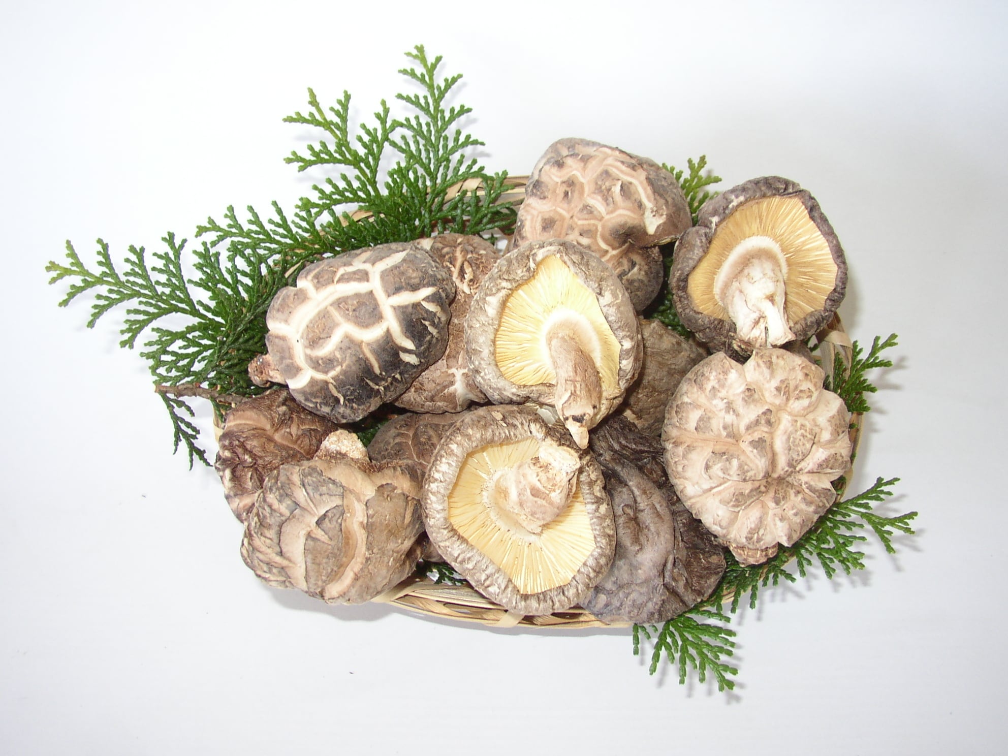 ギフト】大分県産 どんこ椎茸（105g） | 北遠椎茸株式会社