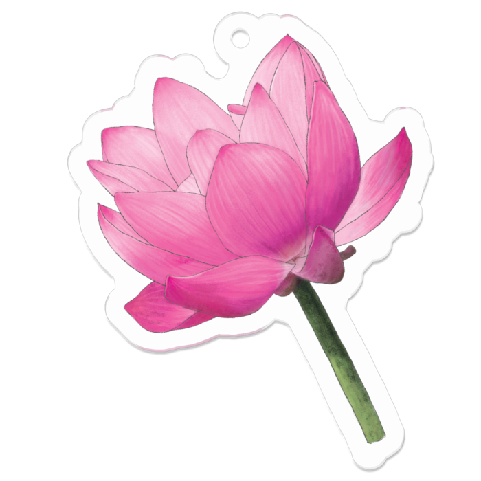 蓮の花のイラストのアクリルキーホルダー 絵描きのraddieyのお店