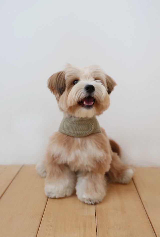 〈即納アイテム〉Dverry / コーデュロイハーネス(khaki)