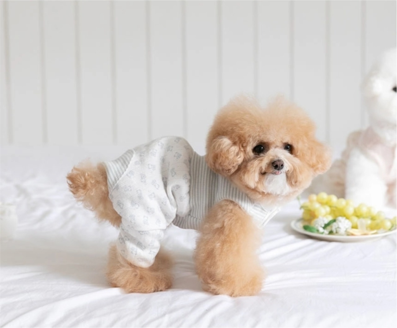 予約【Todley】Petite Bear Romper（White）