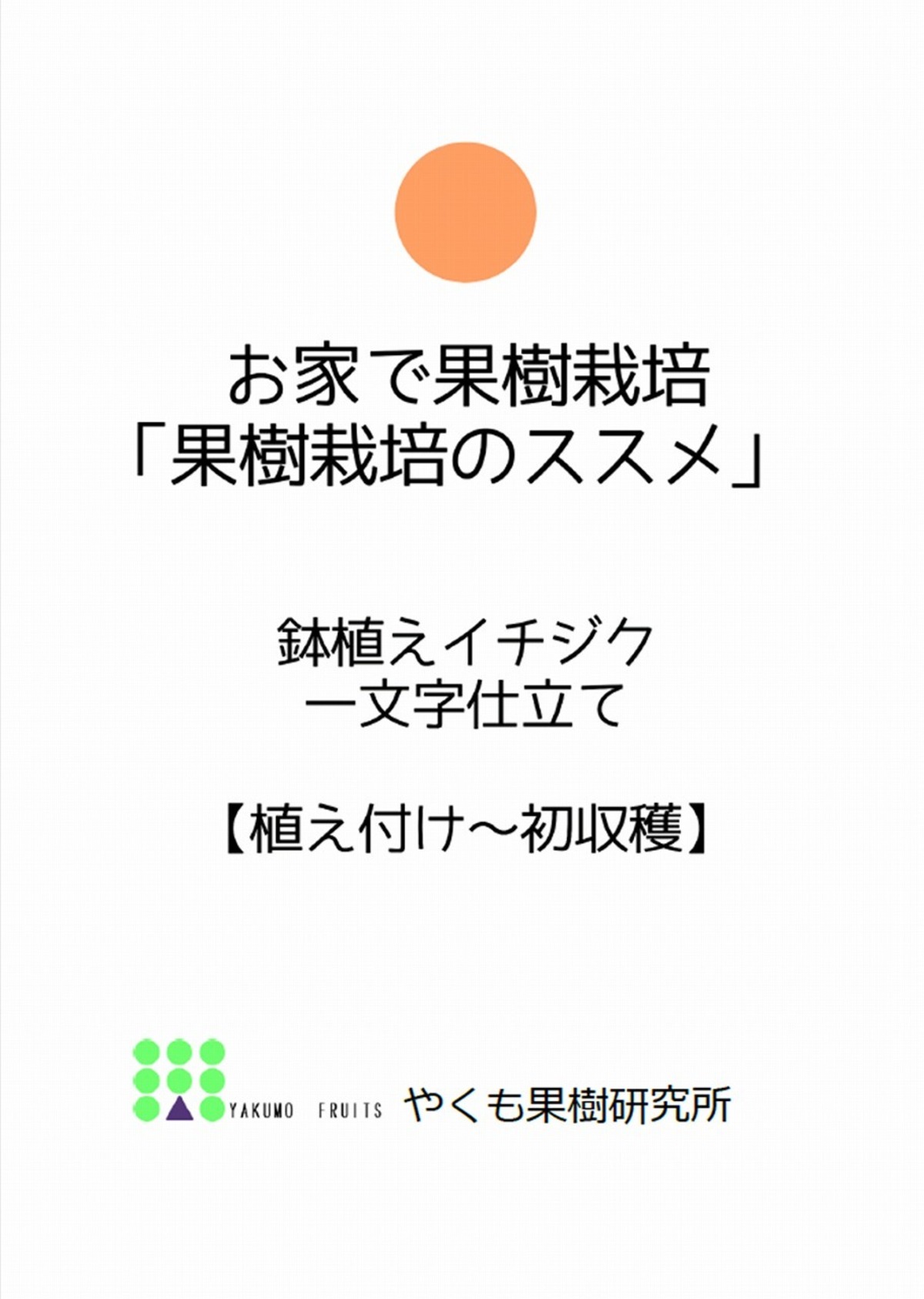 栽培テキスト 鉢植えイチジク 一文字仕立て 植え付け 初収穫 やくも果樹研究所