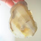 Caramel Mocha 02 - アゲートヒーリングチャイム / Agate Healing Chime 1105