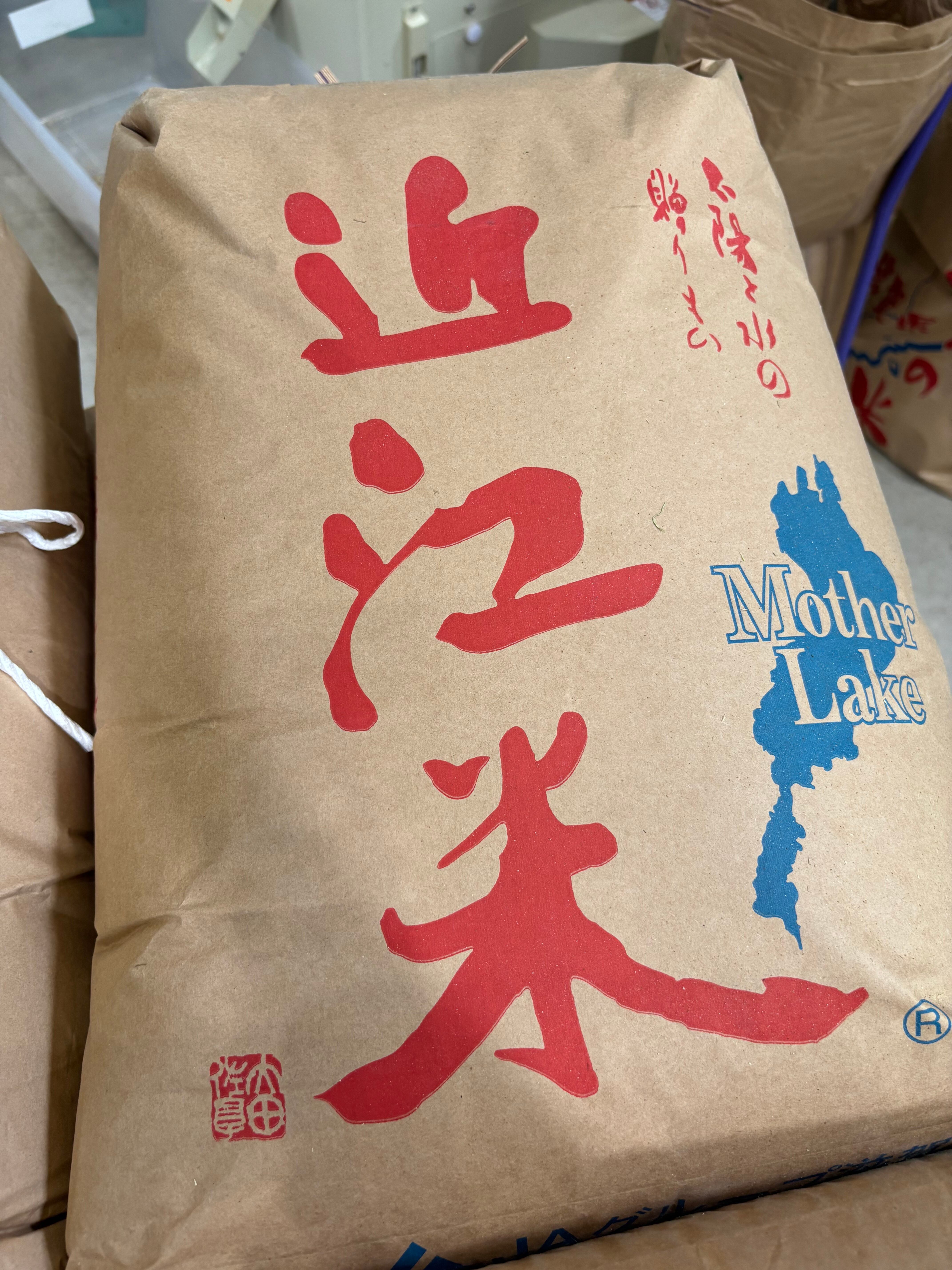 農家直送】令和8年度産 コシヒカリ 玄米 30kg | 農家のお米 YAMASATO