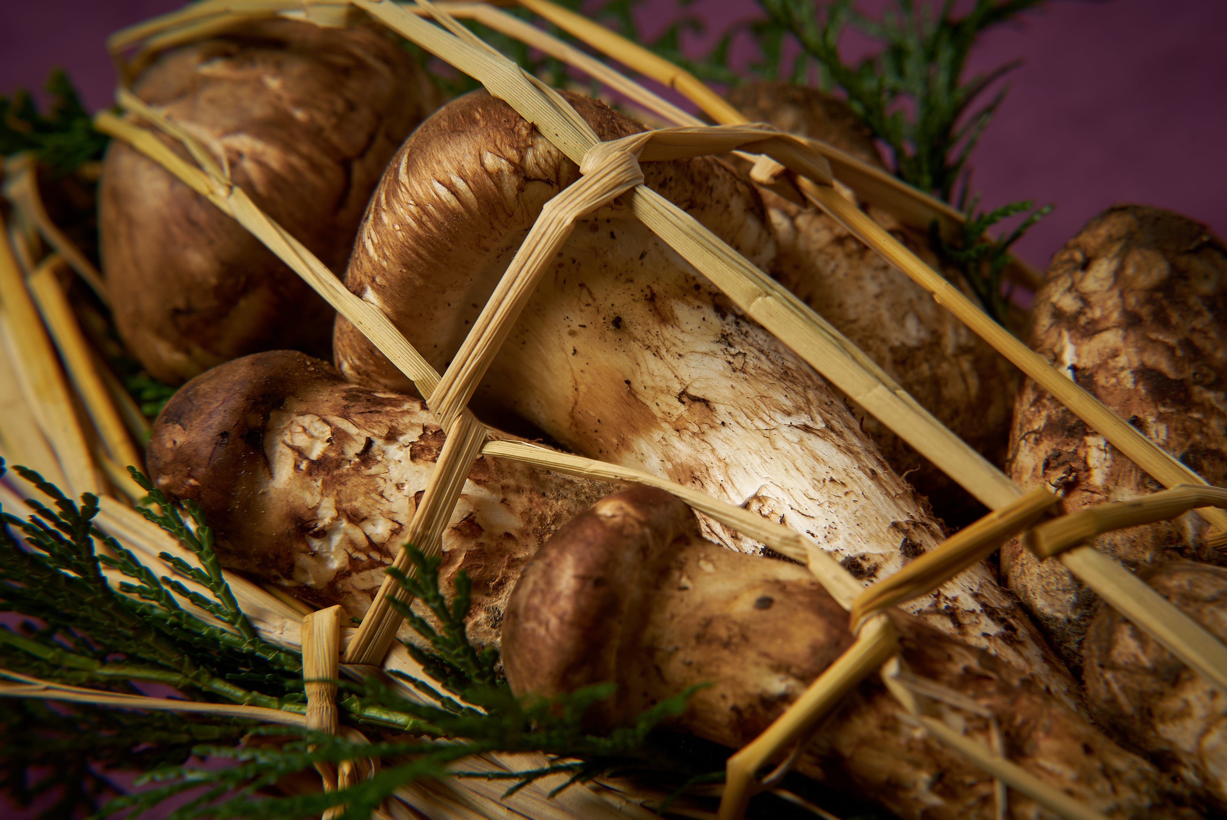 広島庄原産】松茸 | まつしまストアーオンライン