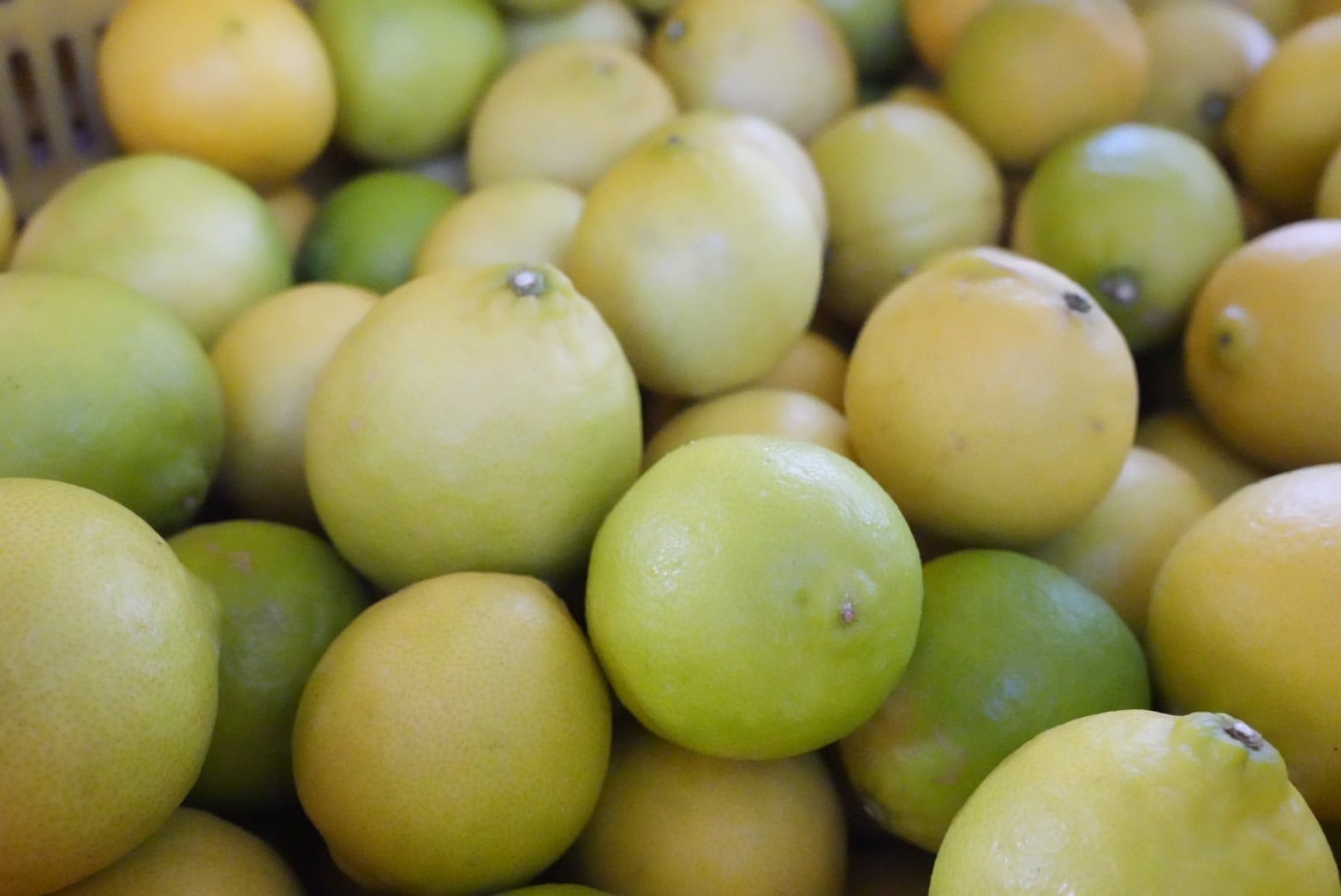 完熟島ライム 1kg〜 | わらしべ。