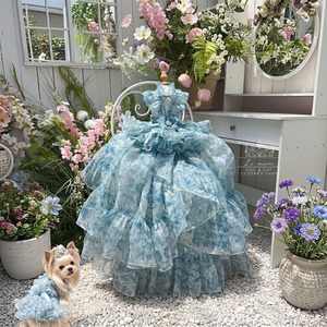 予約（海外ハンドメイド）【№B08574‐L】トワルドジュイ風　華やかボリュームフリル　2way　ロイヤルロングドレス　