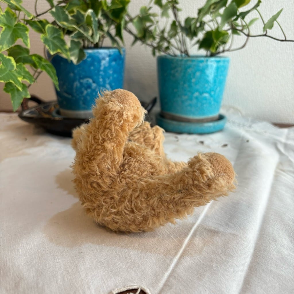 ハンガリー 小さなテディベア クマ ぬいぐるみ | kolbenova