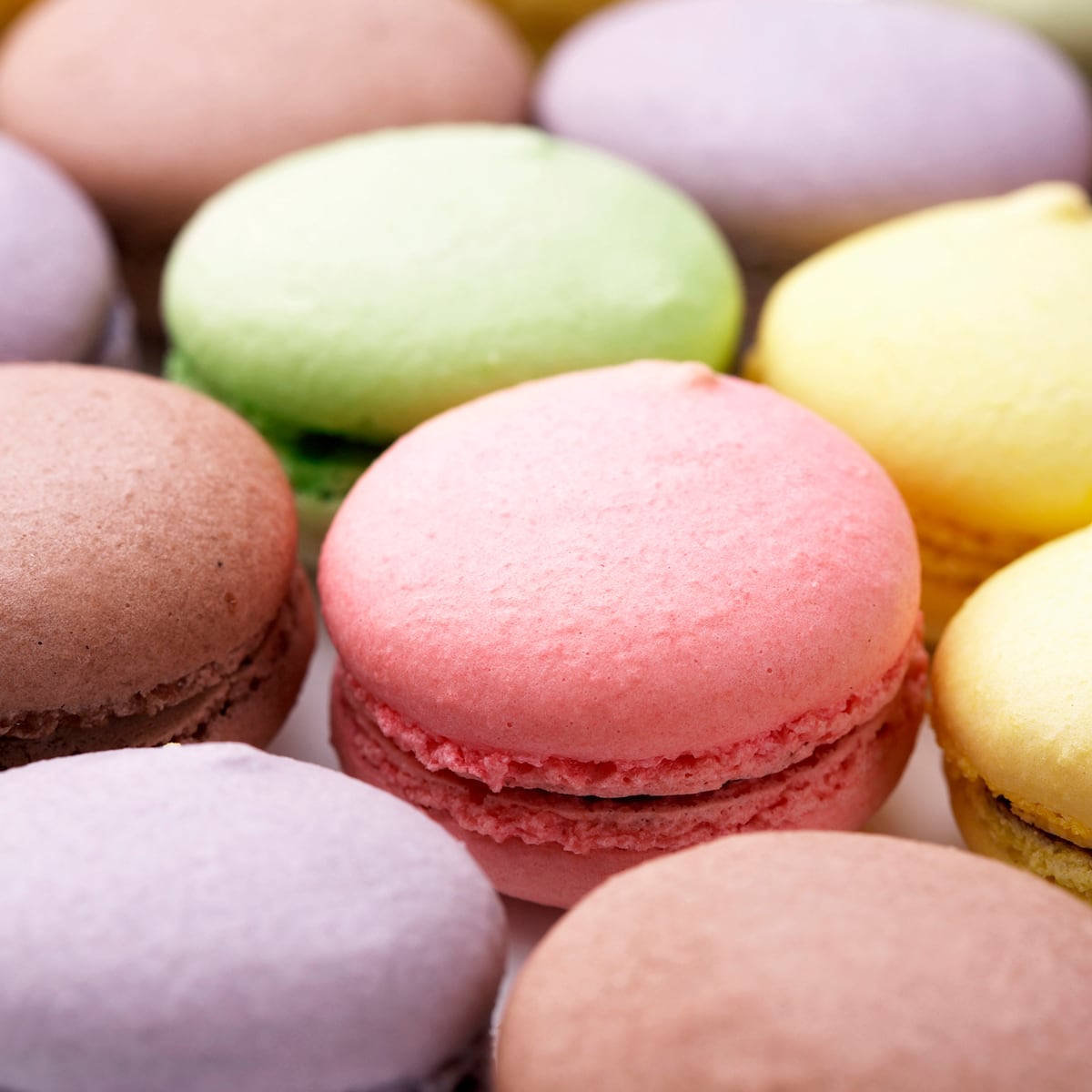 マカロンセット(30個入)