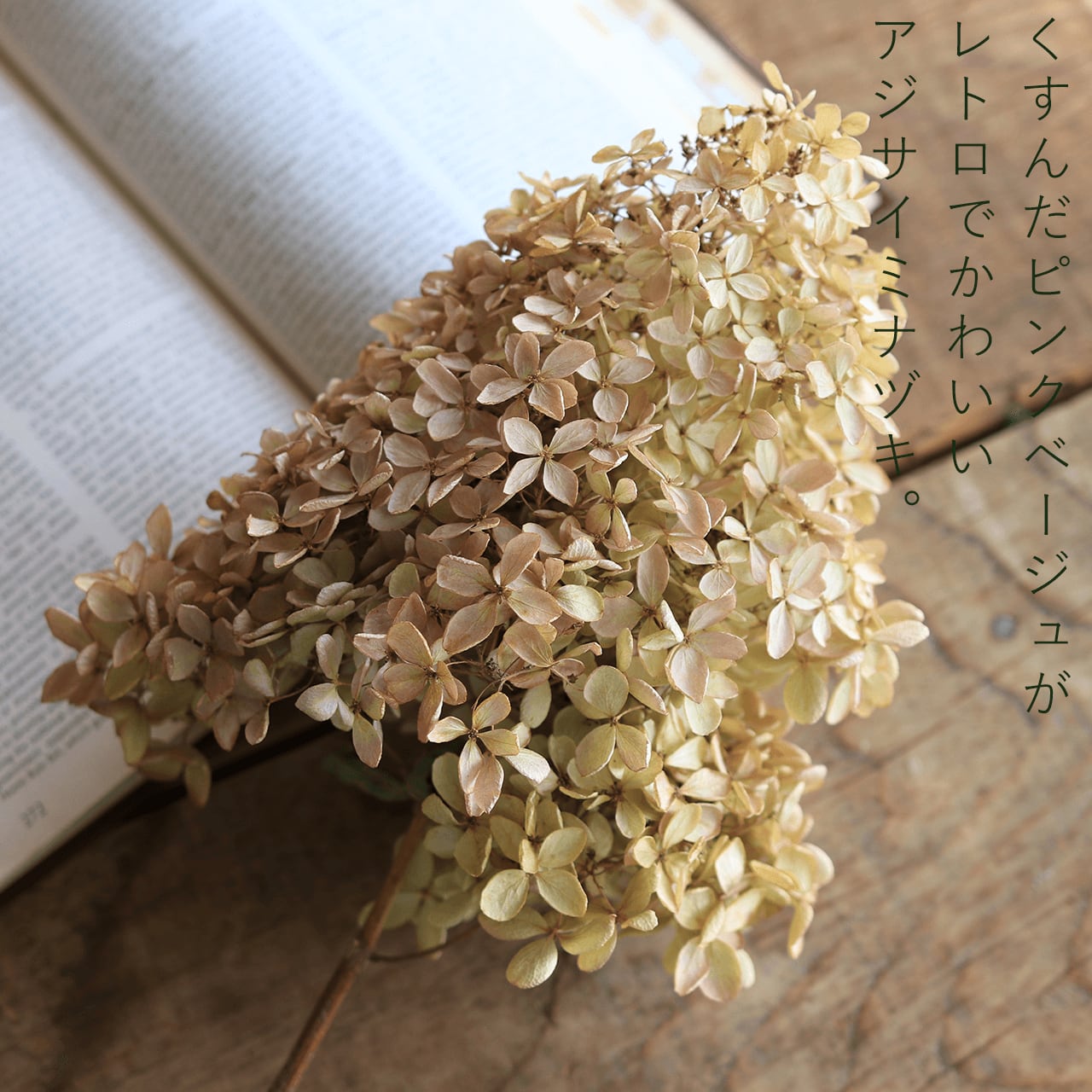 紫陽花のドライフラワーリース *ミナヅキハンドメイド