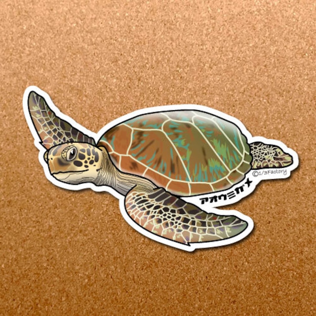 海の生き物ステッカー アオウミガメ