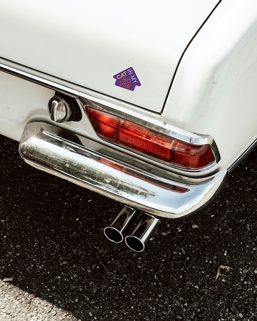 Car Magnet "Cat In My House" Car Magnet "Cat In My House"