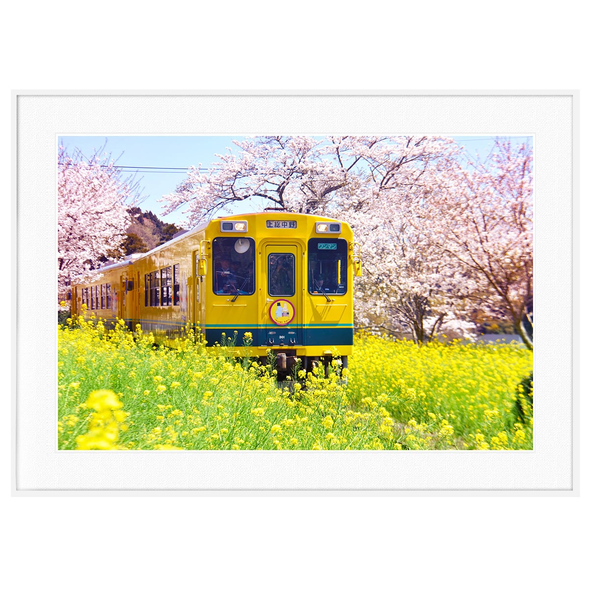 春写真 日本 千葉県いすみ鉄道 菜の花列車 インテリアアートポスター