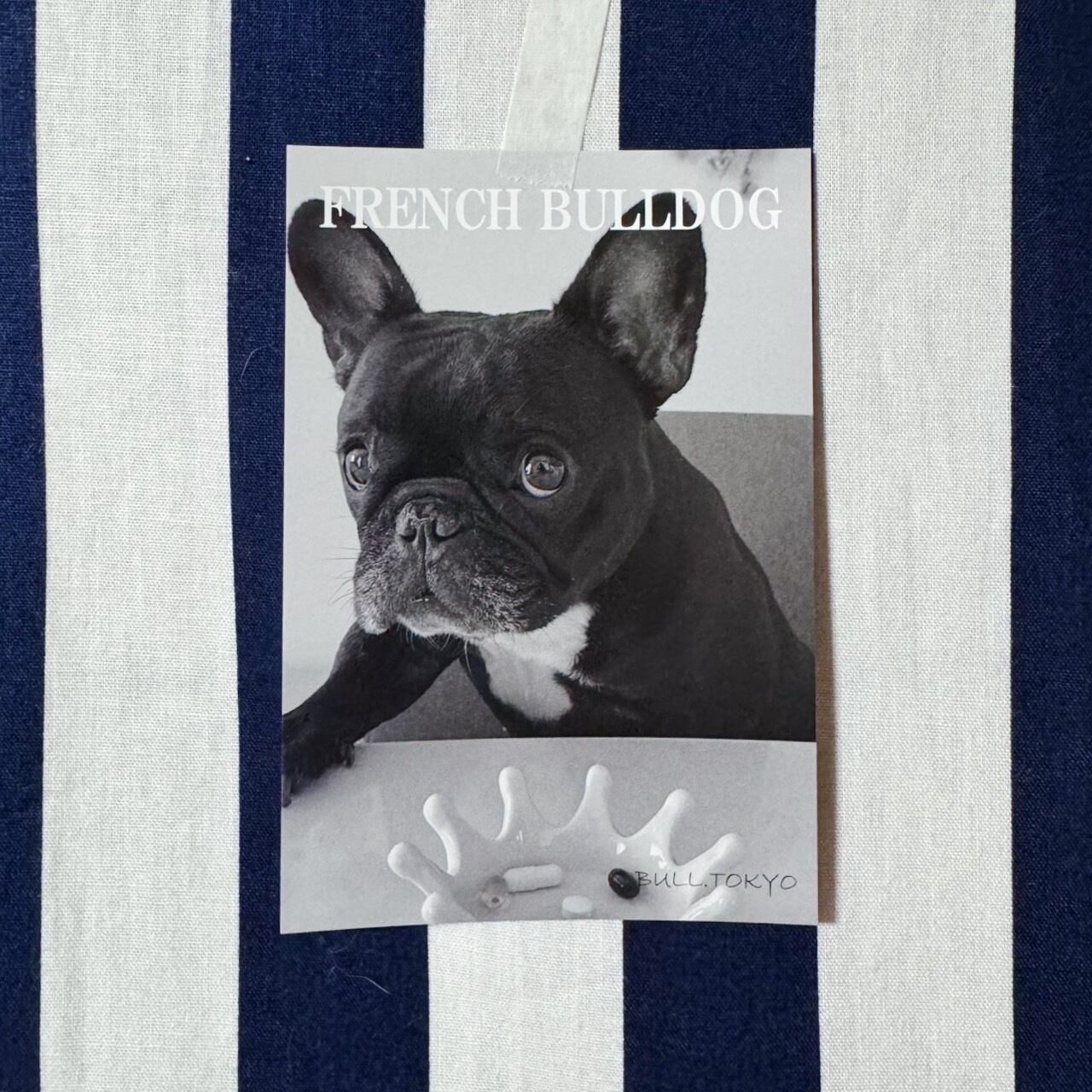 ヴィンテージフォトデザイン ポストカードセット（4種各1枚