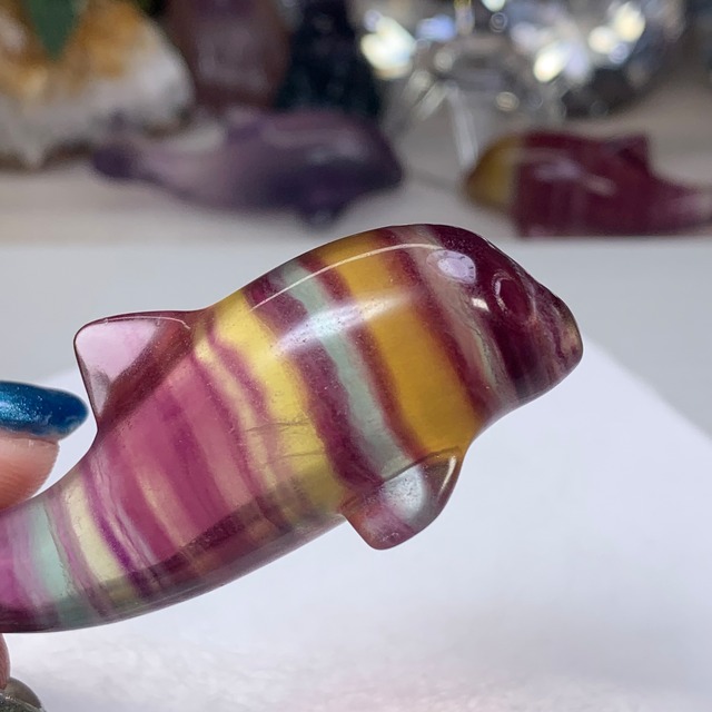 9.癒☆可愛いフローライトイルカさん