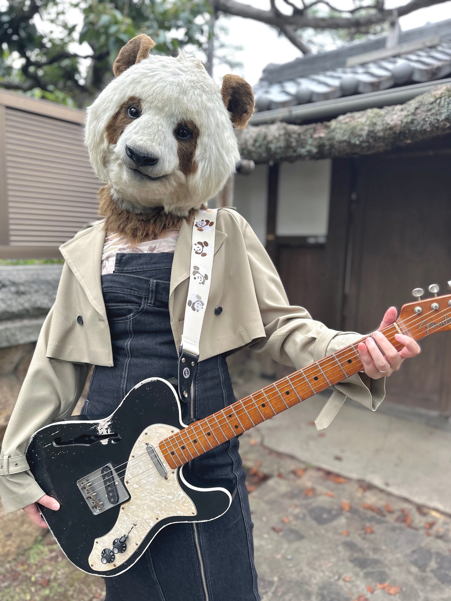 TS-2 AC ごろごろパンダ | ギターストラップ専門店 Grande uomo