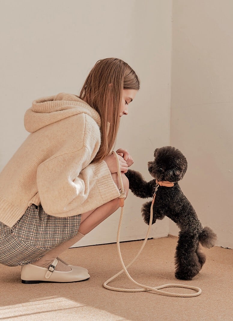即納【stroll】Rope Leash Classic (Beige)