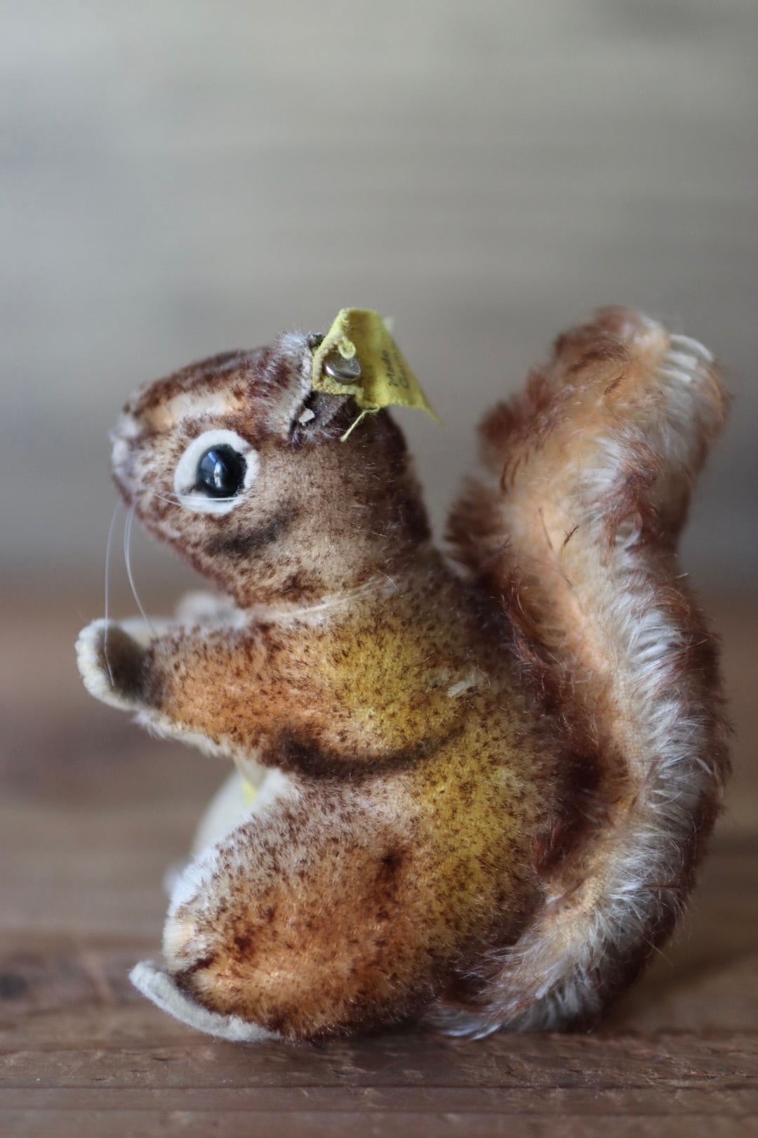 シュタイフ ぬいぐるみ リス Perri ヴィンテージ