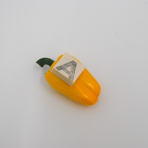 金森桜子｜Vegetabook PAPRIKA