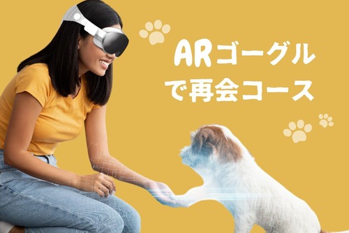 サービスB：ARゴーグルで再会コース