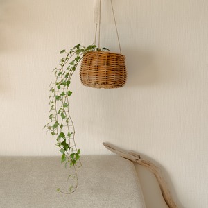 THE AROROG Hanging Basket