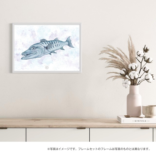【海のいきものアートポスター／魚】バラクーダ