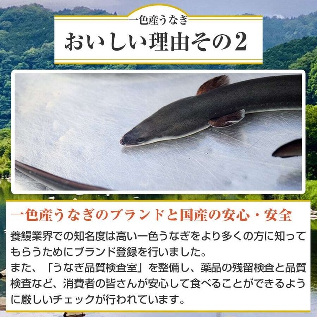 【土用丑前・数量限定】職人手焼き 愛知県・三河一色産うなぎ蒲焼き（2本以上）