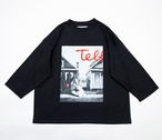 The appearance of rabbits Big  T  adult F  /   Black