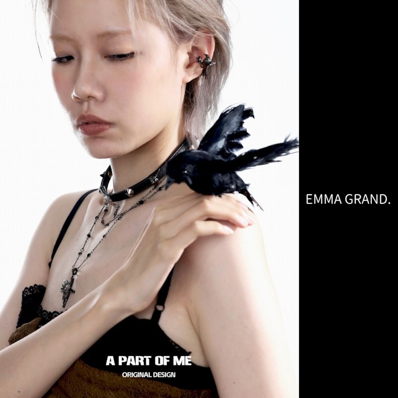 カラスが見つけた星屑のイヤーカフ E00637