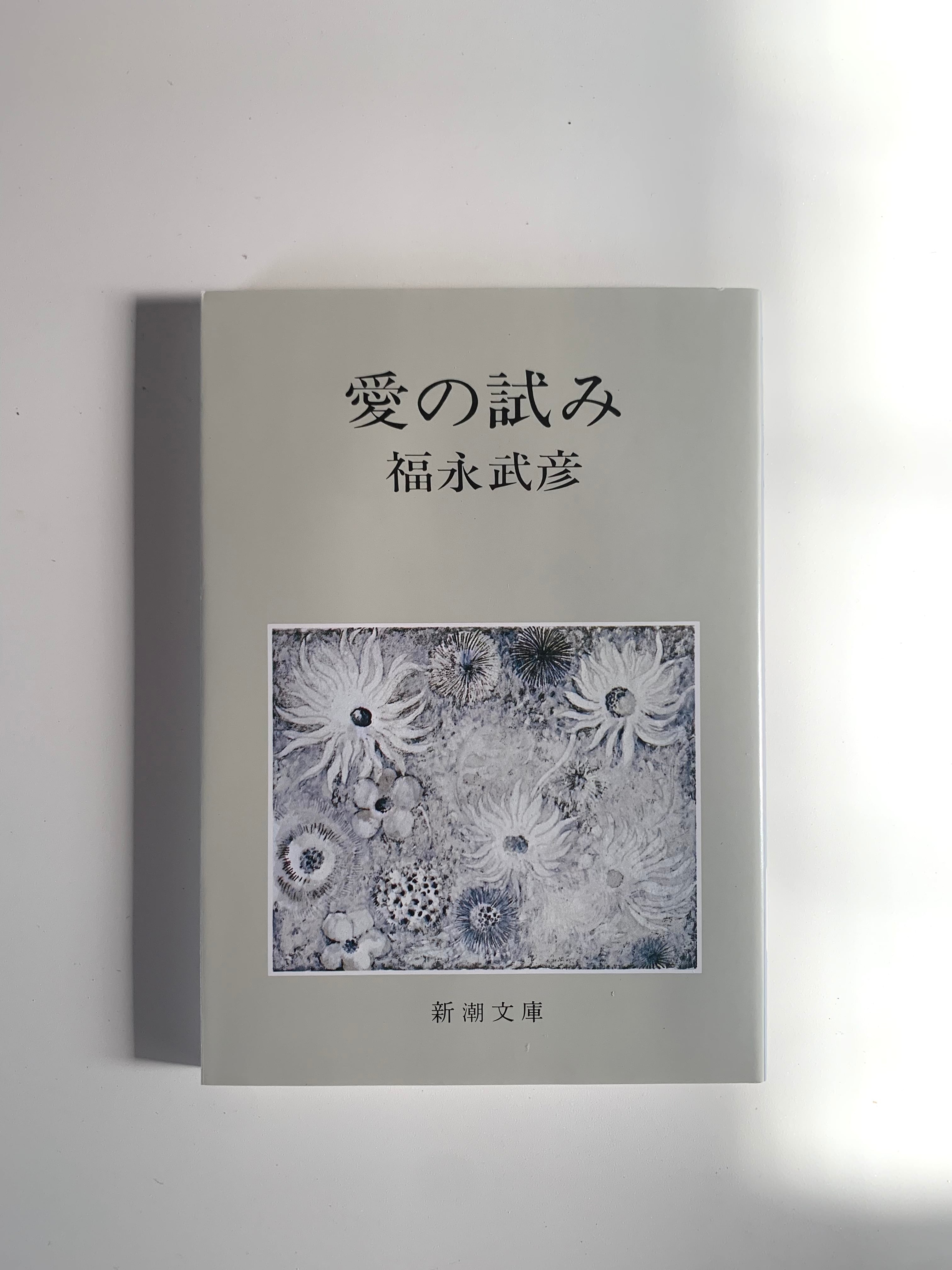 値下げ交渉可！平田博 孔版画集 ペーパー・スクリーン 直筆サイン入り　非売品 STANDARD BOOKSTORE