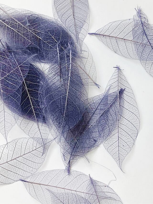 シェア花材☆ミニスケルトンリーフ 小 グレープ