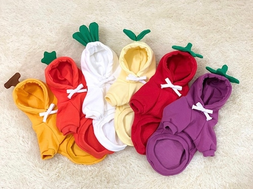 【Buyalldog】Fruits・Vegetable Hoodie